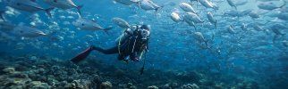 Barotraumatisme : quels sont les risques de la plongée sous-marine ?